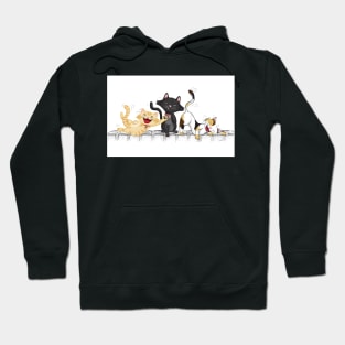 Cats laughing Hoodie